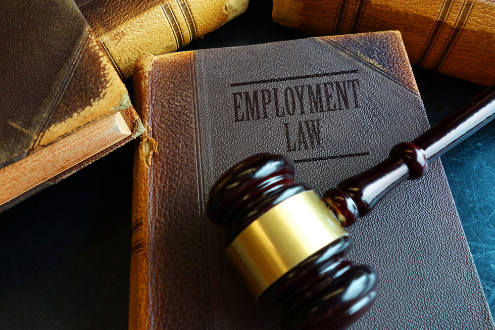 What Is The Employment Rights Act 1996 Acas