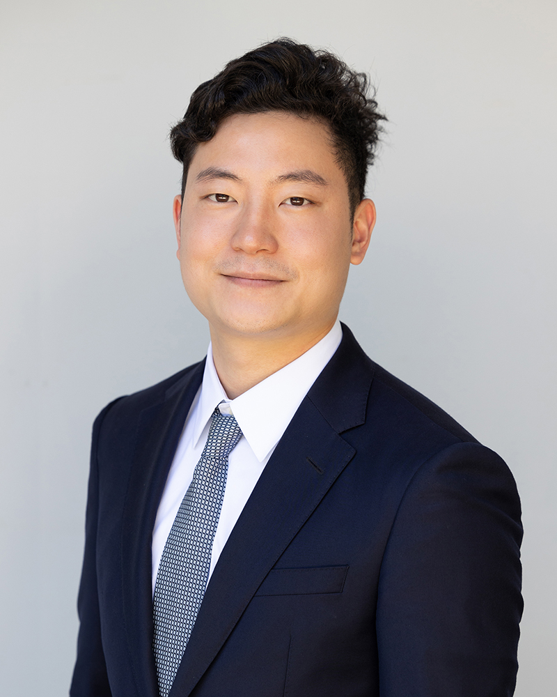 Mike Lee Real Estate Law, Corporate Law Davidovich Stein Law Group